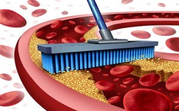 Mười loại thực phẩm giúp thông tắc mạch máu